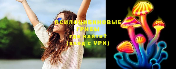 тгк Ростов