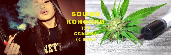 дмт Россошь