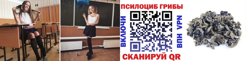 даркнет сайт  Аргун  MEGA как зайти  Галлюциногенные грибы Psilocybine cubensis 