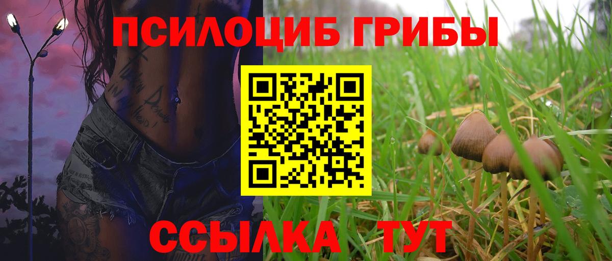 Псилоцибиновые грибы Cubensis  Вход с VPN  Аргун 